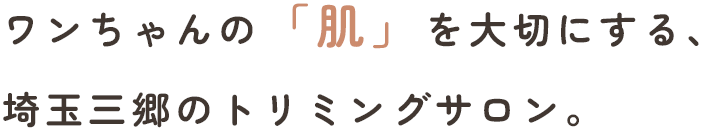 ワンちゃんの「肌」を大切にする、埼玉三郷のトリミングサロン。